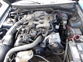 2000 FORD MUSTANG BLUE COUPE 3.8L AT F18022